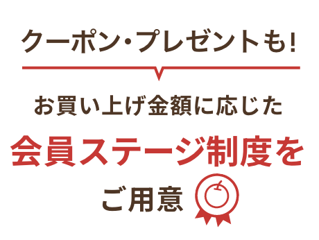 お買い上げ金額に応じた会員ステージ制度をご用意