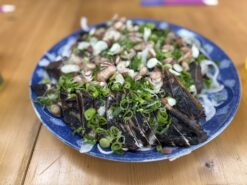 Vol.21 東京から最も遠い町「土佐清水」にあったローカルのチカラ💪（前編）