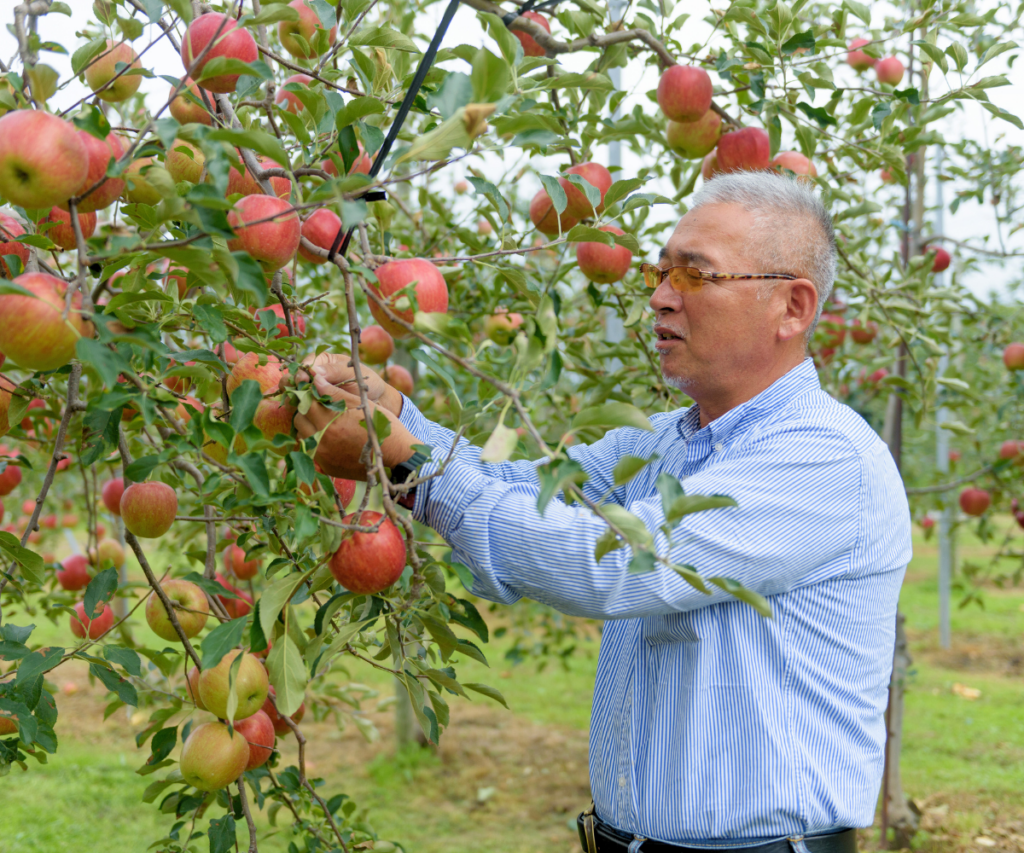 桜庭りんご農園
